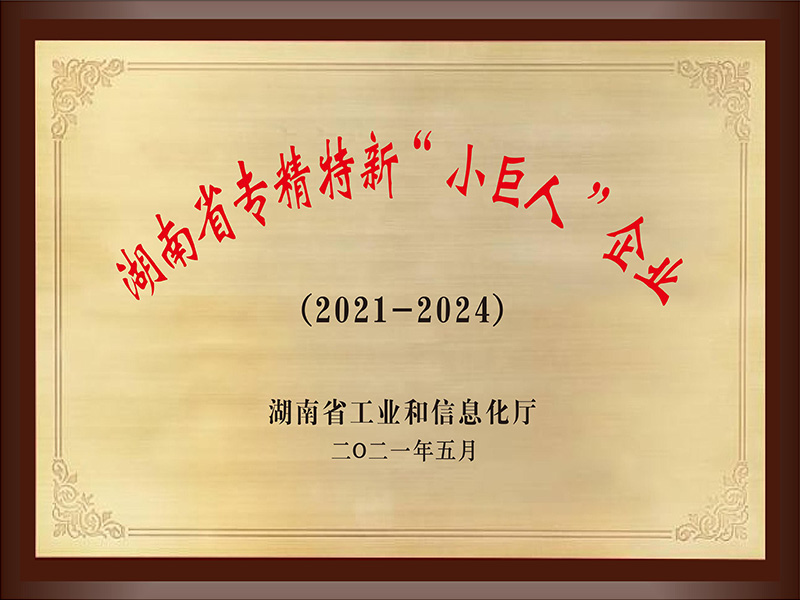 Hunan Province Specialized, Refined, Unique, and New Small Giant Enterprise