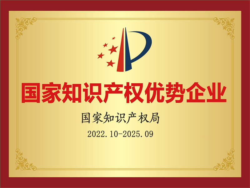 National Intellectual Property Advantage Enterprise