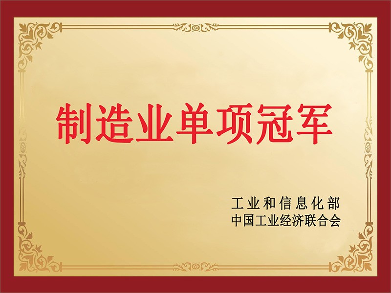 Manufacturing industry single champion