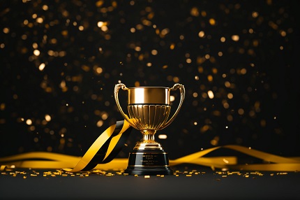 Good news! Jinxin Electronics has passed the ISO 26262 road vehicle functional safety management system certification