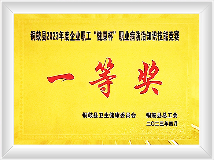First prize in the 2023 "Health Cup" Occupational Disease Prevention and Control Knowledge and Skills Competition for Enterprise Employees in Tonggu County
