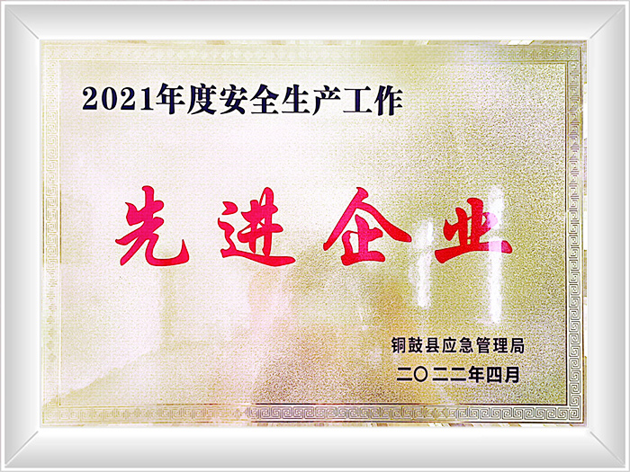 Advanced Enterprise 2021