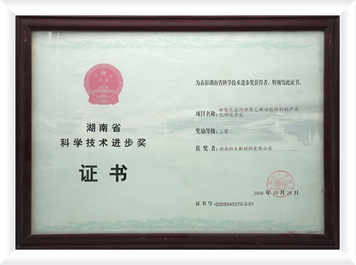 Hunan Province Science and Technology Progress Award