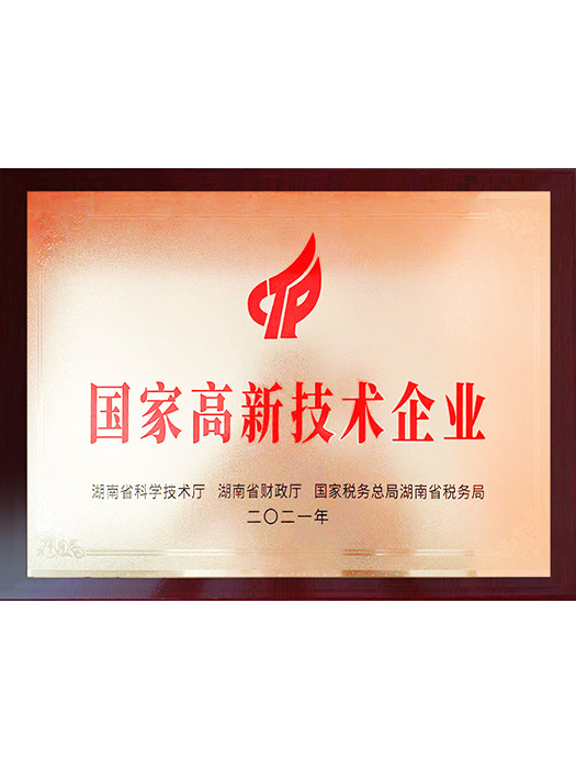 国家高新技术企业(2021年)