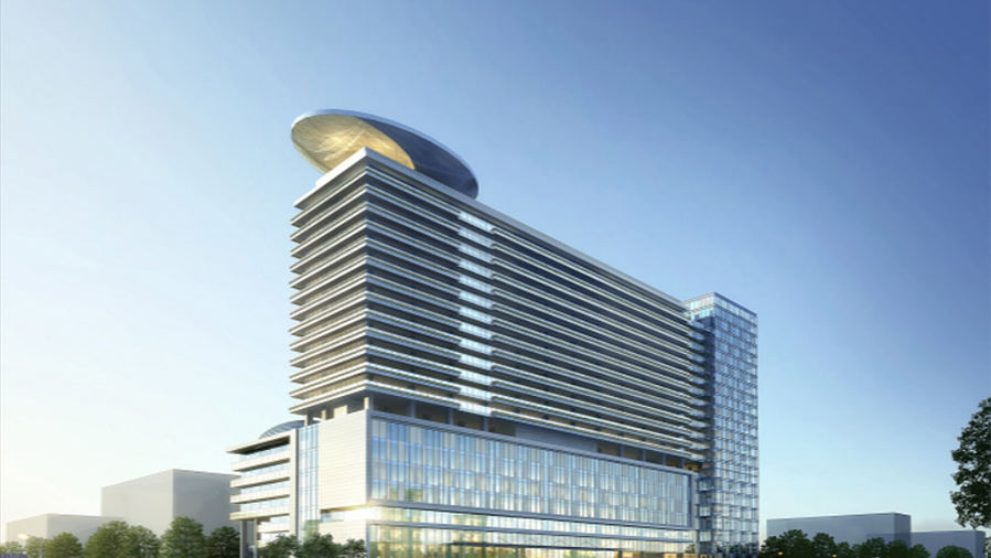 Wuhan Asia Hospital Project
