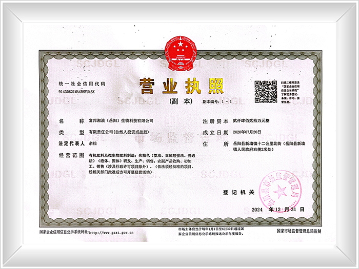 Business License