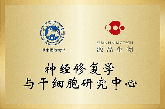 Neural Repair and Stem Cell Research Center