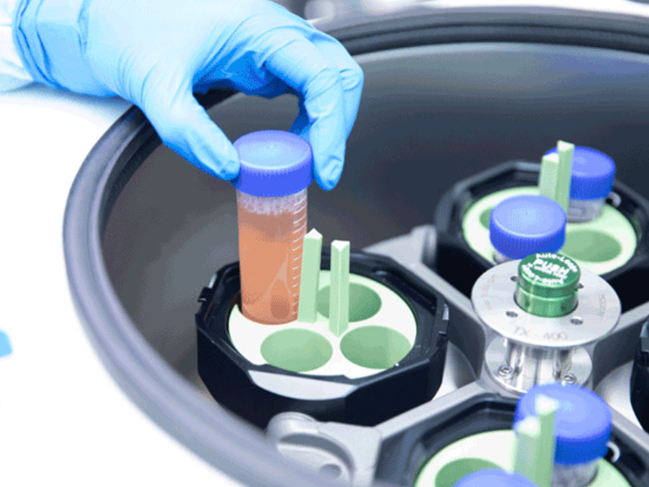 Hunan Cell Preparation Centre
