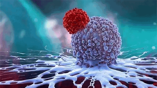 CCTV video | NK immune cells: the body's mysterious health code