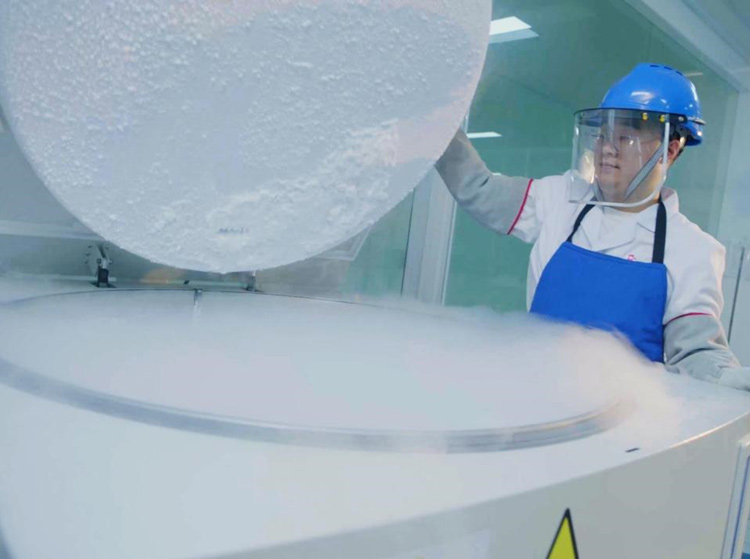 Stem cell storage technology