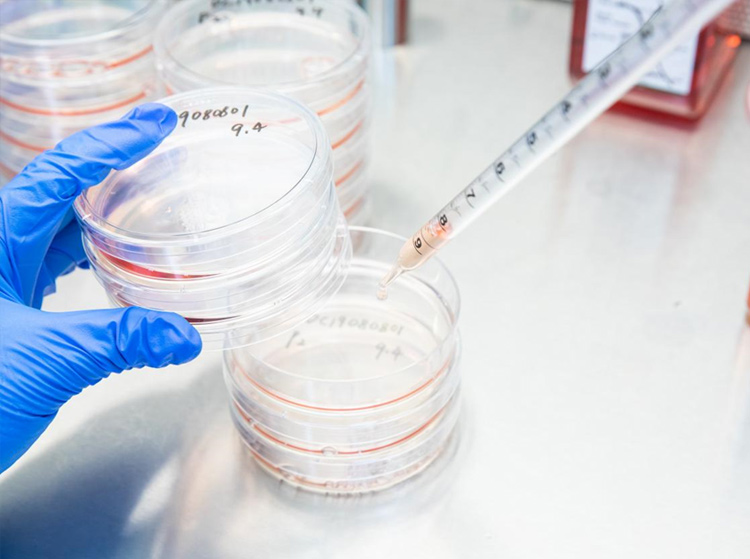 Comprehensive quality testing