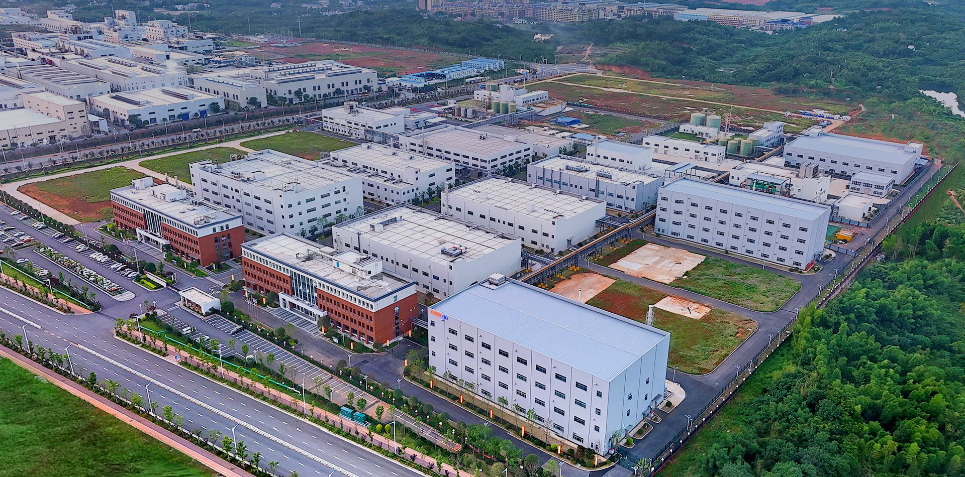 Company Profile