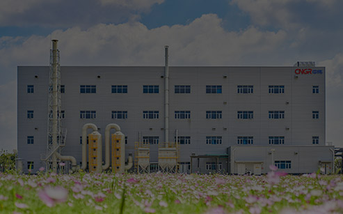 Ningxiang:Platinum Group Metal Catalyst and Chemical Base